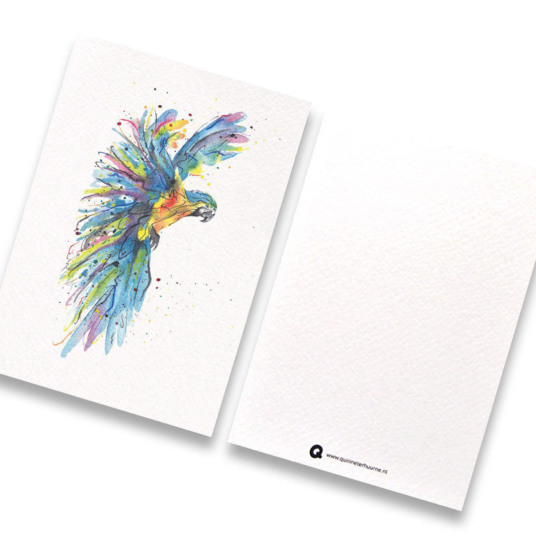 kaart-papegaai-2-gekleurd