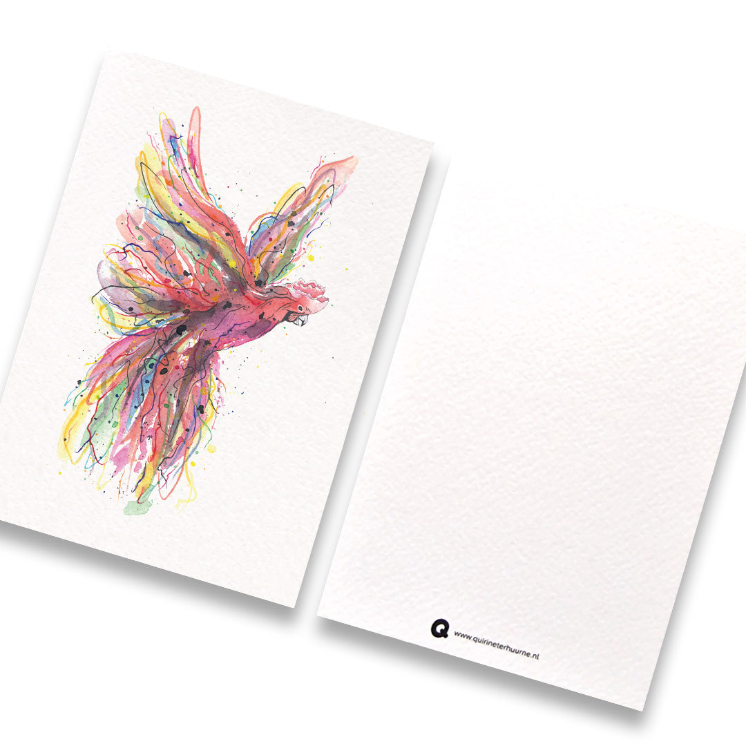 kaart-papegaai-3-gekleurd
