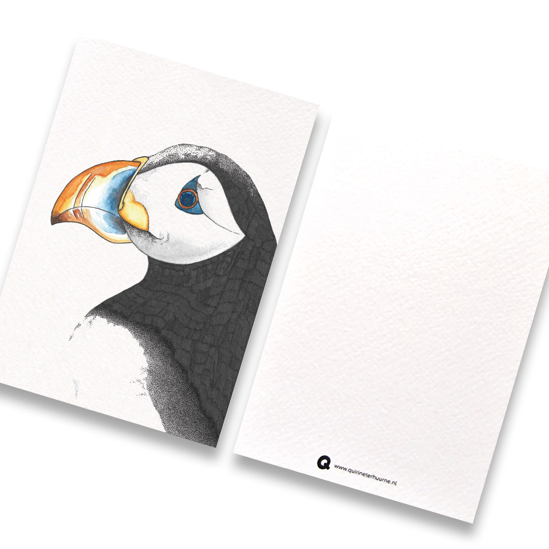 kaart-papegaaiduiker-gekleurd