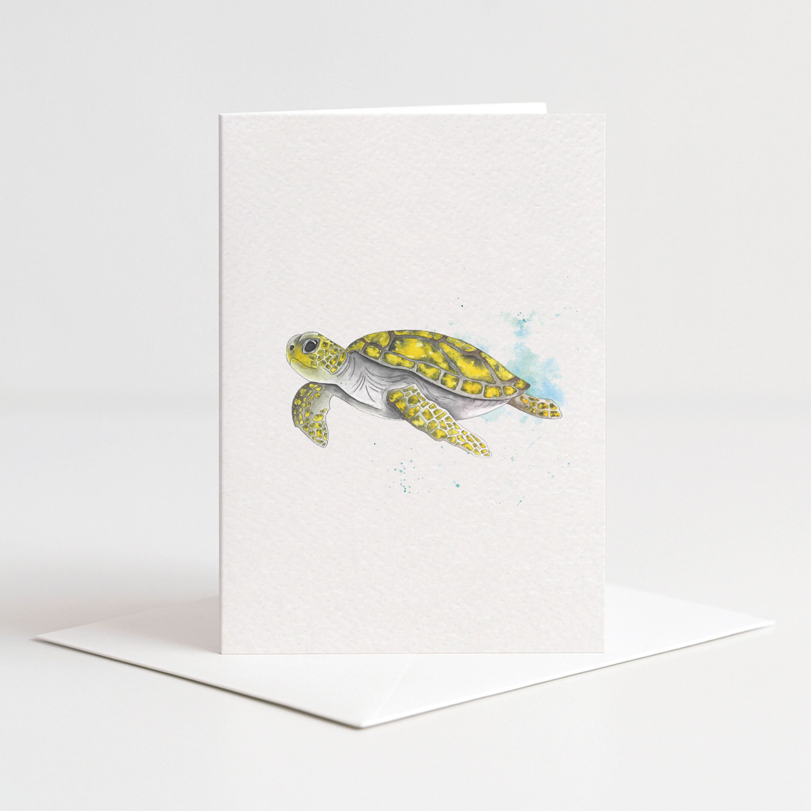Schildpad kaart