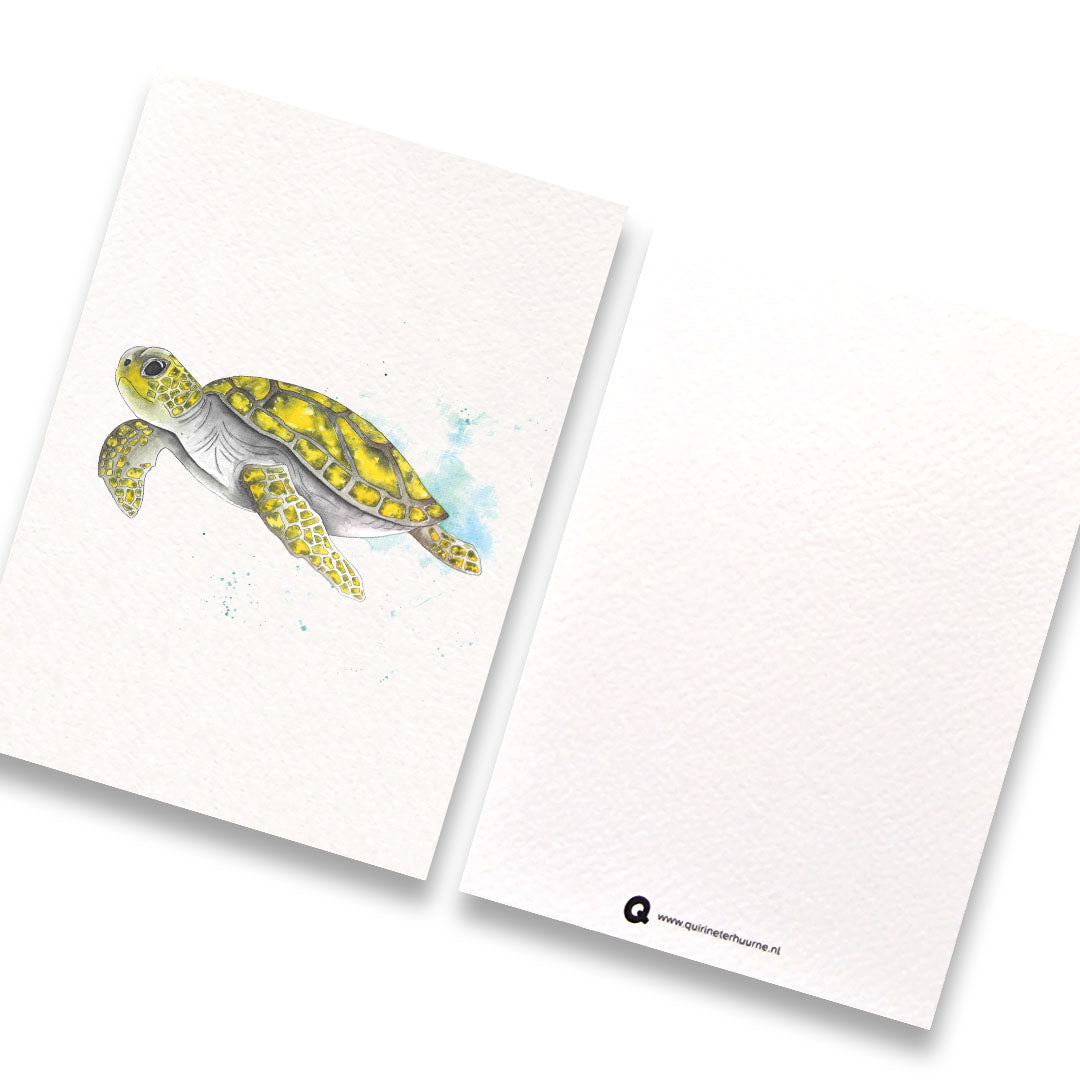 Kaart schildpad