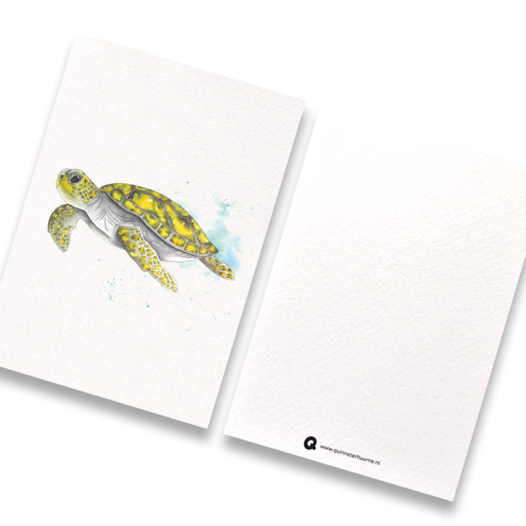 kaart-schildpad-gekleurd