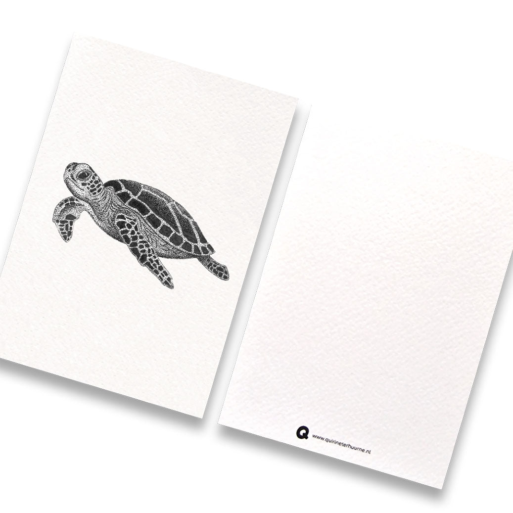 Kaart z/w schildpad