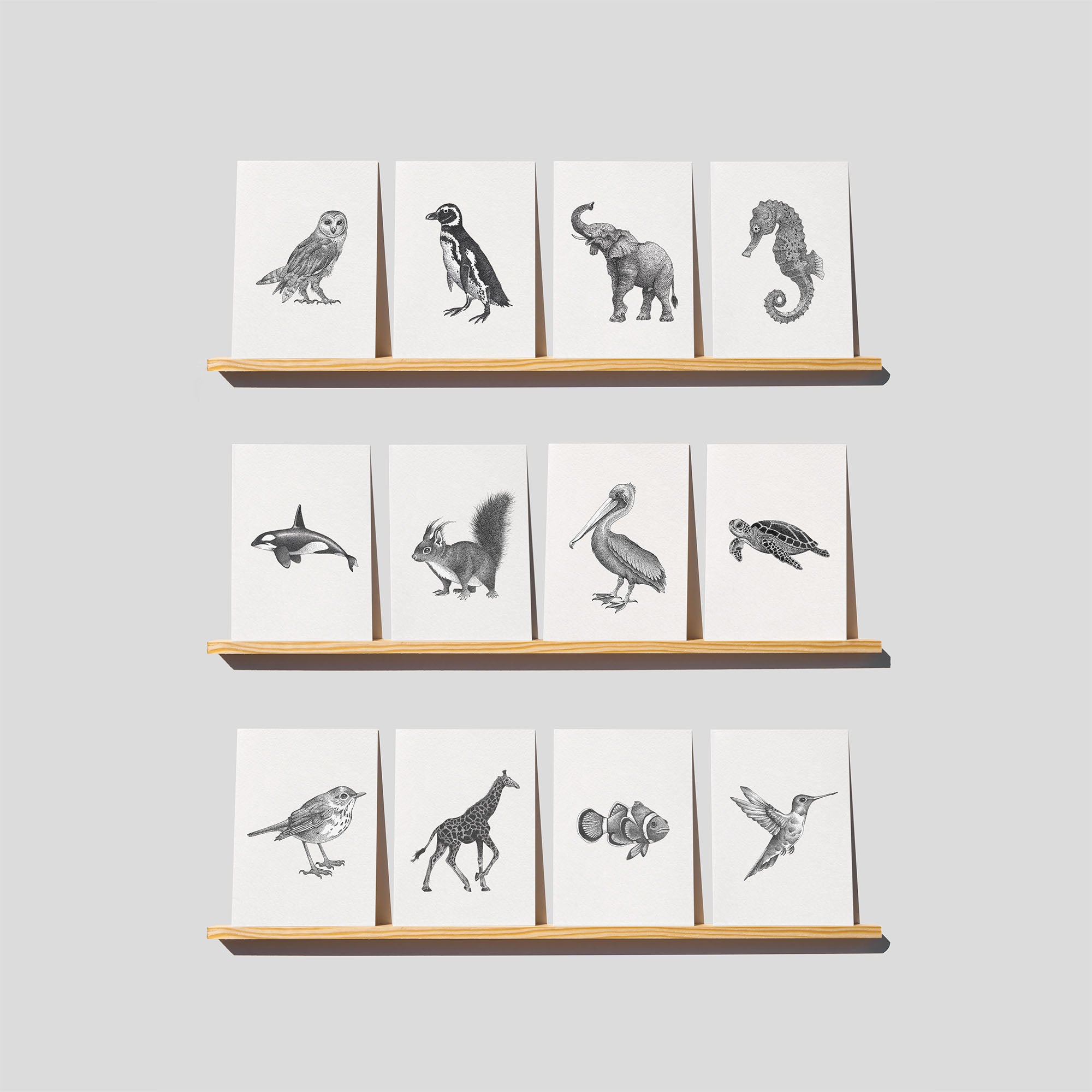 Zwart-wit set (12 st.)