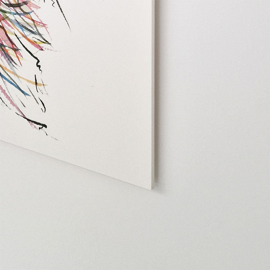 Struisvogel op forex