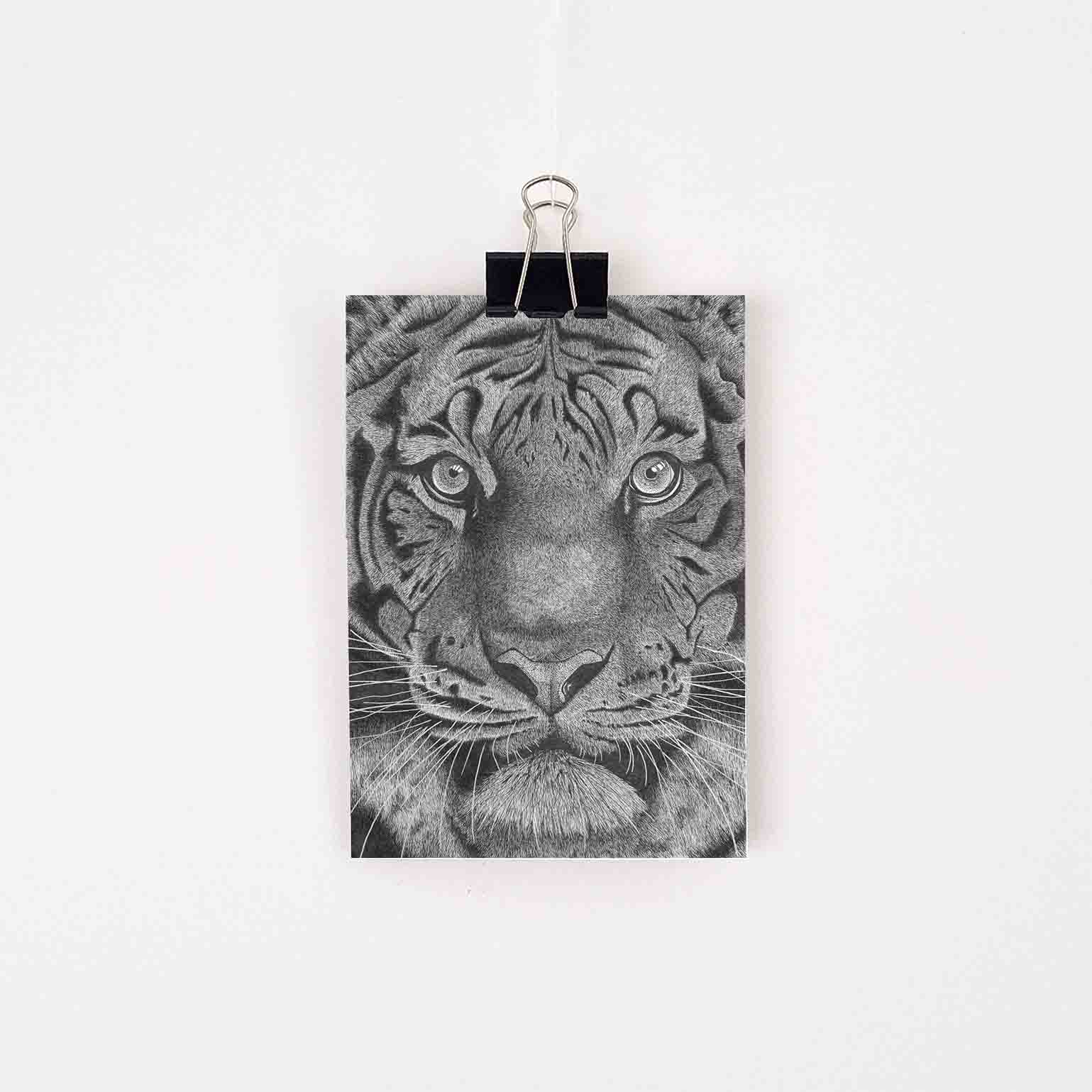 Kaart tijger Wildlife