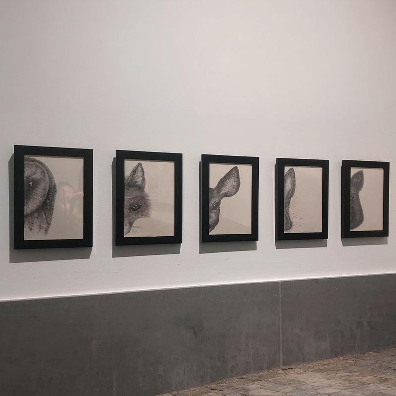 Serie ingelijste kaarten Veluwse bosdieren aan de muur