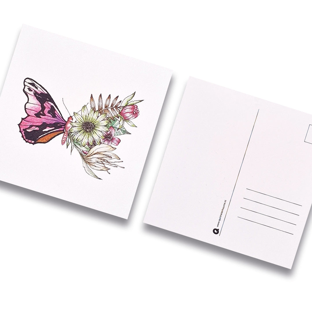 kaart-insect-vlinder-bloemen-gekleurd