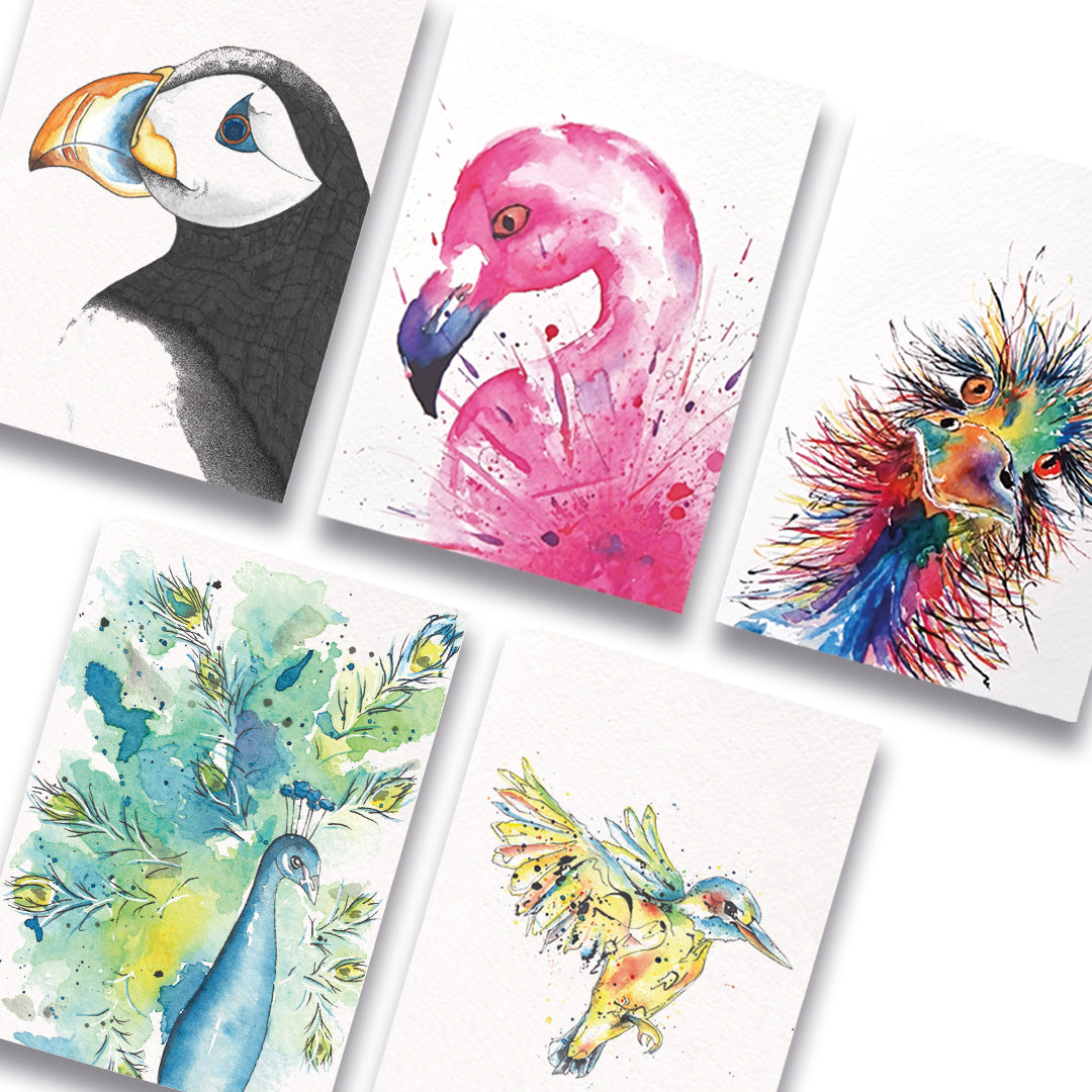 kaartenset-vogels-kleur-papegaaiduiker-flamingo-struisvogel-pauw-ijsvogel