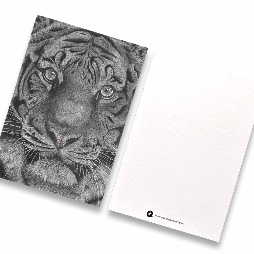 Kaart tijger Wildlife