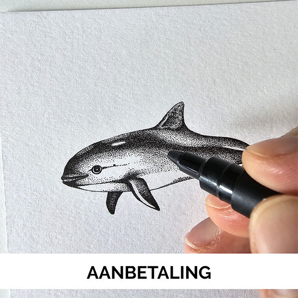 Masterclass inkttekenen