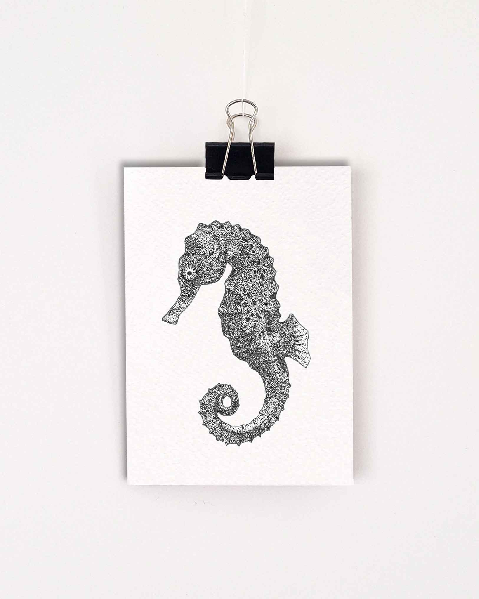 Kaart z/w zeepaardje