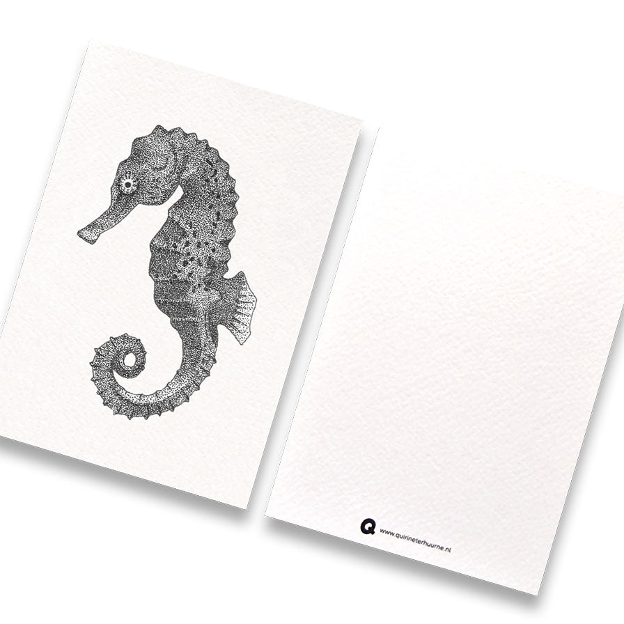 Kaart z/w zeepaardje
