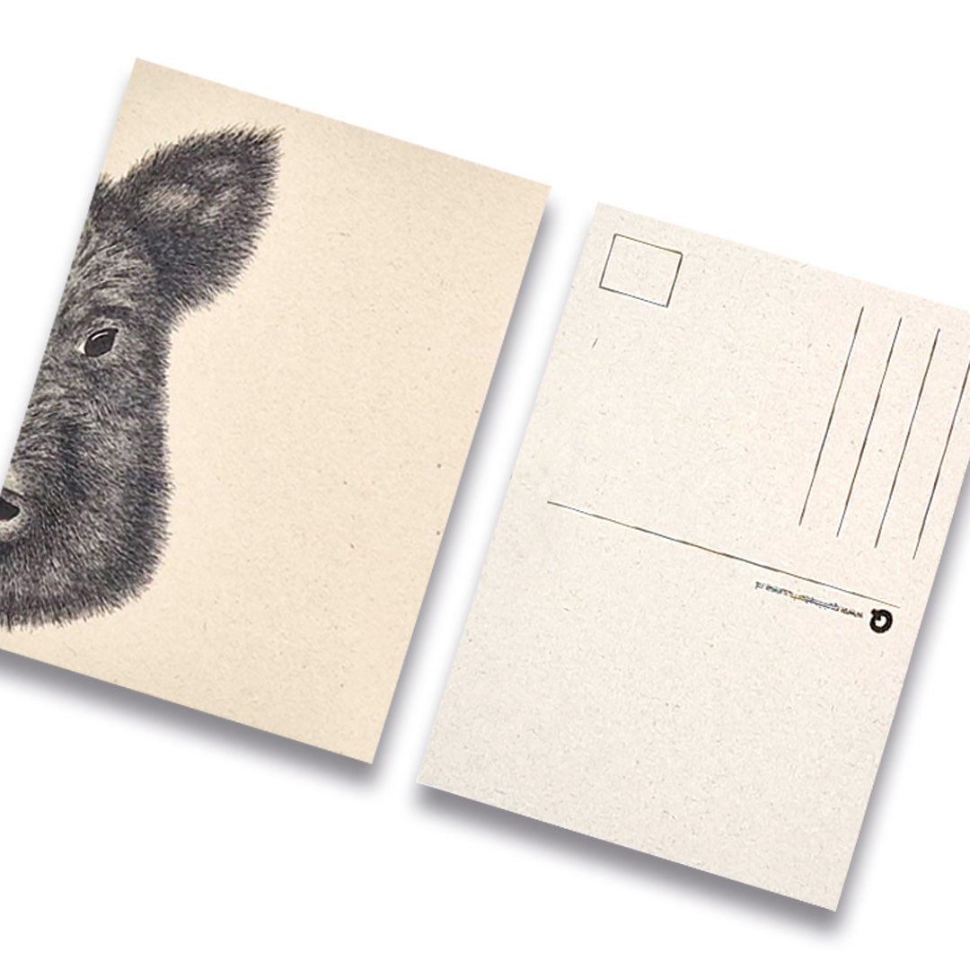 kaart-zwijn-zwart-wit