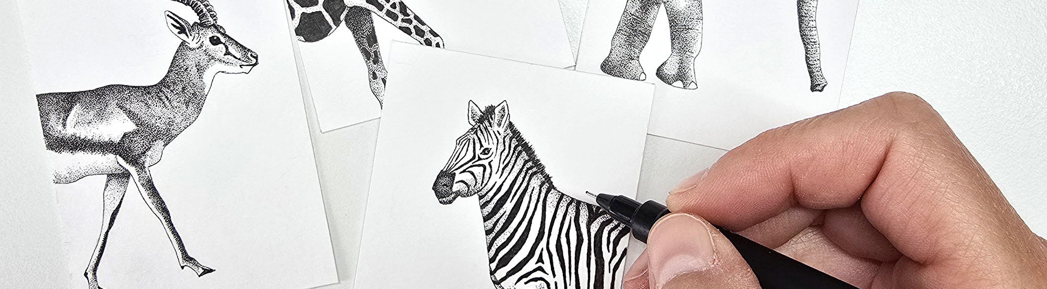 Zwart-witte fineliner dieren uit Afrika worden met de hand getekend met fineliner