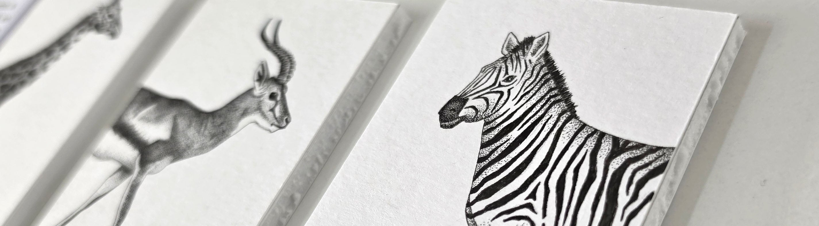 Detailfoto van zwart-witte handgetekende fineliner zebra en gemsbok