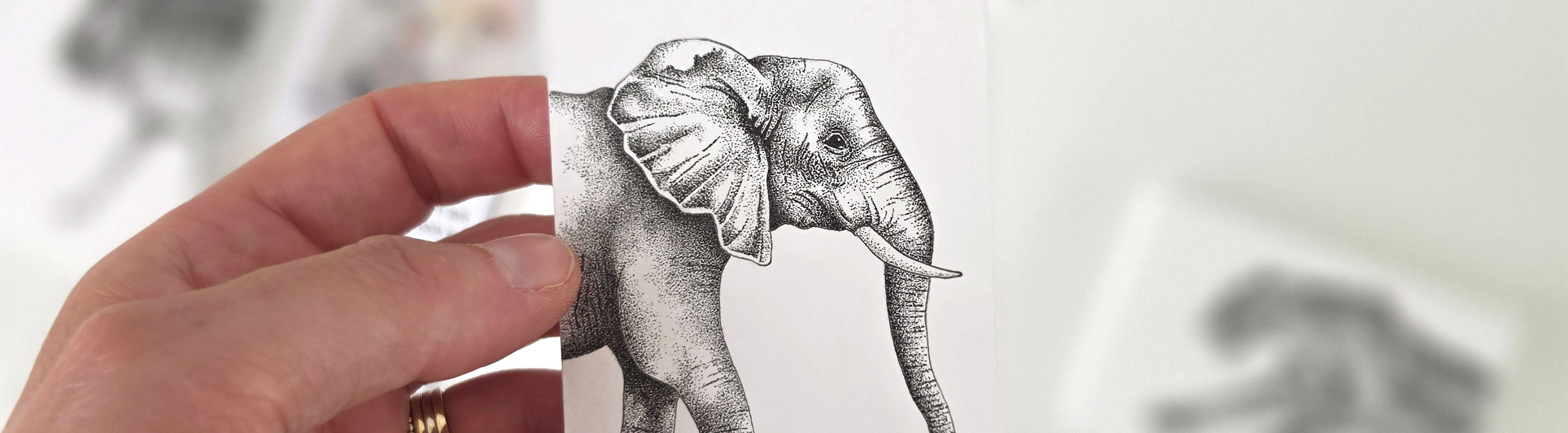 Hand houdt fineliner getekende olifant vast