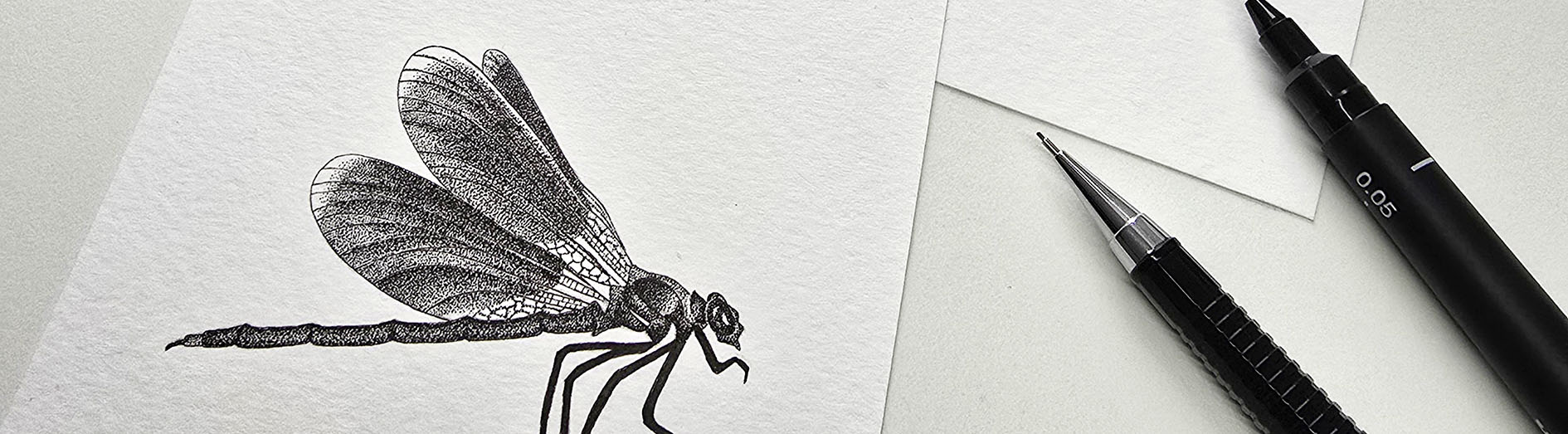 Detailfoto van handgetekende fineliner illustratie van een libelle